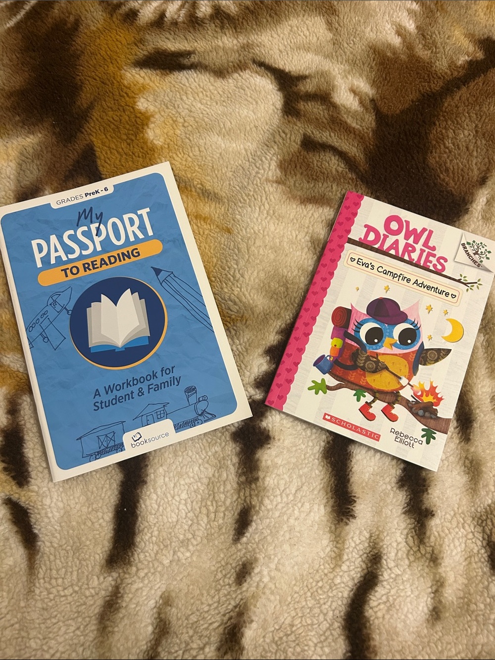 My Passport To Reading Workbook + Owl Diaries Book - Blue & Pink